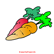 Carottes clipart gratuit