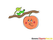 Clip art pomme à télécharger – Fruits gratuite