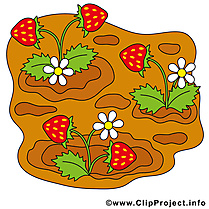 Fleurs image à télécharger – Ferme clipart