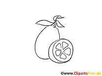 Fruits citron illustration à imprimer gratuite