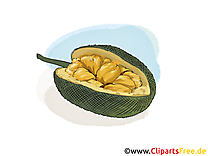 Fruits exotiques clipart gratuit -  images