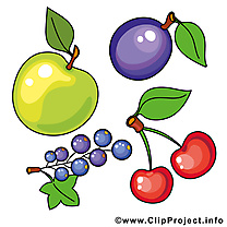 Fruits illustration gratuite à telécharger clipart