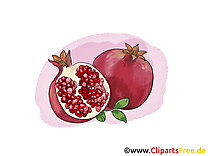 Grenade dessin gratuit - Fruits image