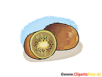 Kiwi dessin gratuit - Fruits image à télécharger