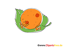 Mandarine image à télécharger - Fruits clipart