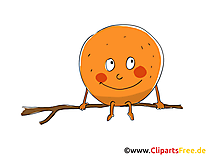 Orange dessin - Fruits clip arts gratuits