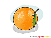 Orange dessin - Fruits cliparts à télécharger