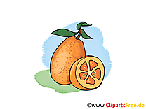 Oranges dessin - Fruits clip arts gratuits