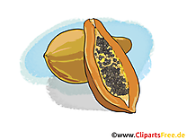 Papaye clip arts gratuits - Fruits illustrations