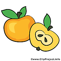 Pommes dessin - Fruits à télécharger