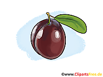 Prune clip art – Fruits gratuite à télécharger