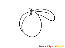 Prune clipart à colorier - Fruits images