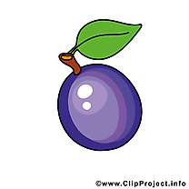 Prune image - Fruits images cliparts