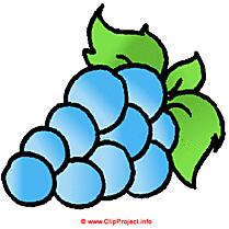 Raisin bleu clipart gratuit