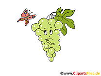 Raisin clip art gratuit – Fruits images