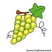 Raisin clipart - Fruits dessins gratuits