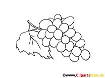 Raisin clipart à colorier - Fruits images