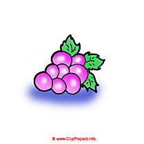 Vigne clipart gratuit