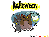 Hibou dessin - Halloween cliparts à télécharger