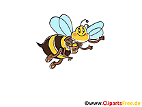 Abeille image gratuite images cliparts