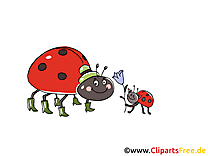 Clip arts gratuits coccinelle  illustrations