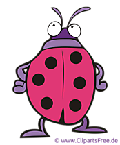 Coccinelle illustration gratuite clipart