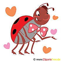 Coccinelle images clip art gratuit