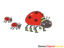 Famille coccinelle cliparts gratuis images