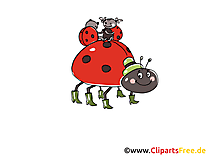 Image gratuite coccinelle clipart à télécharger