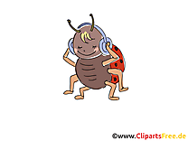 Images gratuites coccinelle clipart gratuit