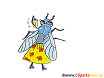 Mouche dessins gratuits clipart