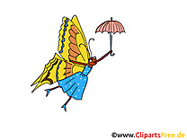 Papillon image gratuite illustration
