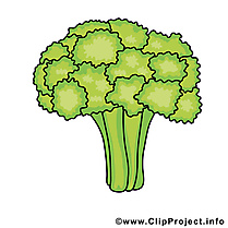 Brocoli dessin - Légume cliparts à télécharger