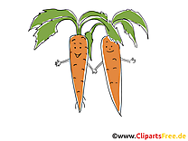 Carottes dessins gratuits - Légume clipart