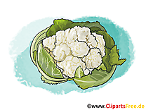 Chou-fleur images - Légume dessins gratuits