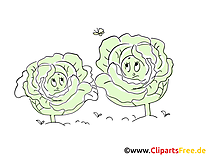 Choux images gratuites – Légume clipart