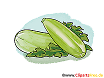 Courgette dessin gratuit - Légume image