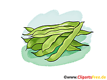 Haricot vert clip art – Légume gratuite