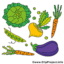 Légumes dessin clip arts gratuits