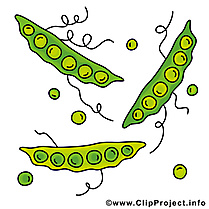 Pois images gratuites – Légume clipart