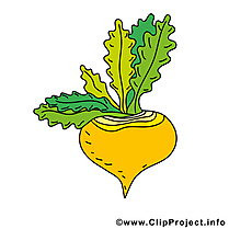 Rave dessins gratuits - Légume clipart