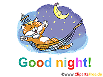 Chat image gratuite - Bonne nuit illustration