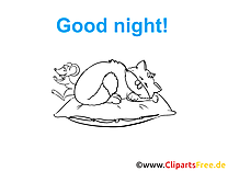 Coloriage chat - Bonne nuit à télécharger