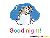 Illustration chien - Bonne nuit images