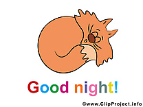 Image gratuite chat – Bonne nuit clipart