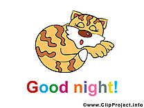 Images chat - Bonne nuit clip art gratuit