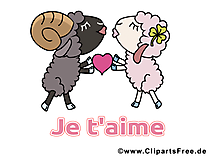 Moutons illustration gratuite - Je t'aime clipart