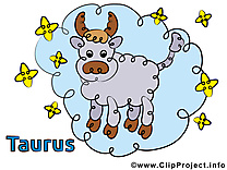 Taureau image à télécharger - Signe clipart