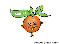 Abricot clip art gratuit – Merci images