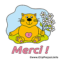 Chat image à télécharger - Merci clipart